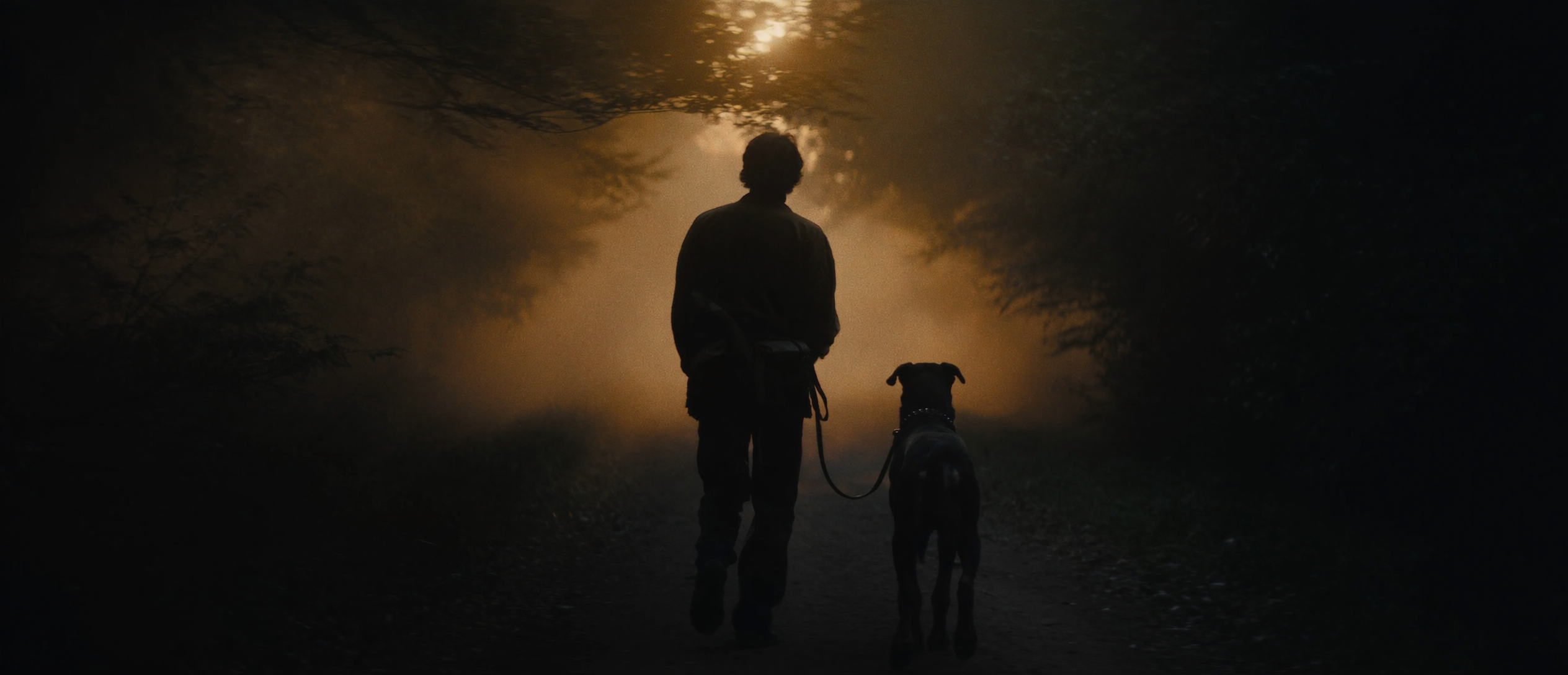 Mensch und Hund laufen im Morgennebel auf einem Pfad ins Licht